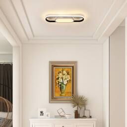 COMELY LED Ceiling Light, 30W oval Acrylic Ceiling Lights, 3000K-6500 K - thumbnail 2