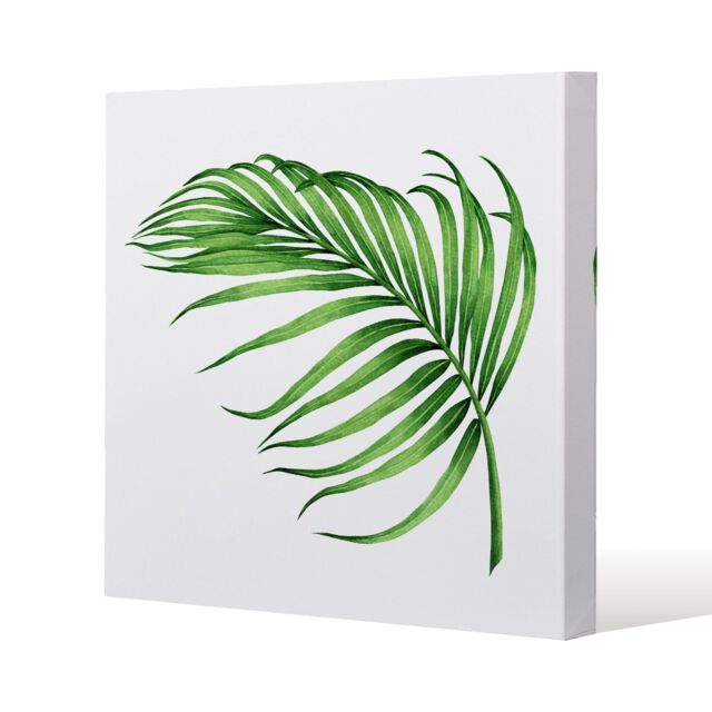 Benjamin Tate Design Botanical Leaf (Canvas Print) / 77 x 77 x 4cm in Natural - Size: 77 x 77 x 4 cm - image 1