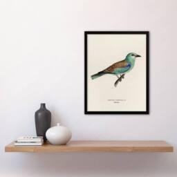 Artery8 European Roller Bird Von Wright Vintage Framed Wall Art Print in Beige - Size: A4 - thumbnail 4