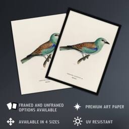 Artery8 European Roller Bird Von Wright Vintage Framed Wall Art Print in Beige - Size: A4 - thumbnail 2