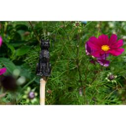 Jardinopia Cat Cane or Stake Topper Pot Buddy - L4 x W3.5 x H8 cm in Bronze - thumbnail 6