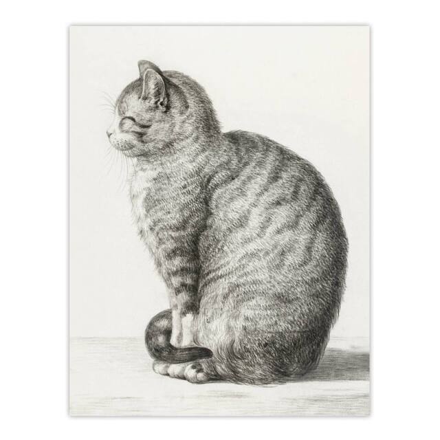 "Artery8 Sitting Smiling Cat Pencil Drawing Bernard Wall Art Print Poster in White - Size: W12"" x H16""" - image 1