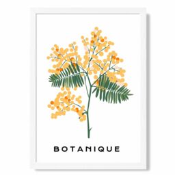 ARTZE Yellow Mimosa Plant Flower Market Spring Framed Print SIZE: A2 with White Frame - Size: A4 - thumbnail 1
