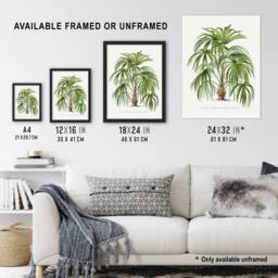 Artery8 Acathophiza Aculeata Palm Tree Kerchove Framed Wall Art Print in White - Size: A4 - thumbnail 3