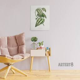 "Artery8 AF Lydon Benjamin Fawcett Smilax Macrophylla Vine Canvas Art Print in White - Size: W12"" x H16""" - thumbnail 3