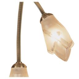 Netlighting Pietra Ceiling 2 Light G9 Antique Brass in Bronze - thumbnail 5