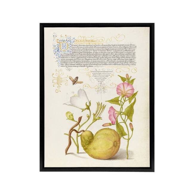 "Artery8 Beetle Flowers & Gourd Calligraphy Framed Canvas Wall Art Print - Size: W12"" x H16""" - image 1