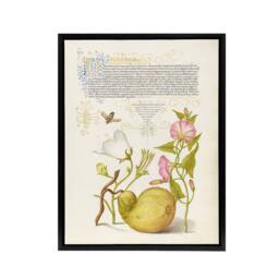 "Artery8 Beetle Flowers & Gourd Calligraphy Framed Canvas Wall Art Print - Size: W12"" x H16""" - thumbnail 1