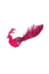 KDMD Hot Pink Velvet Peacock 26cm