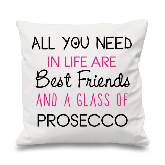 "60 SECOND MAKEOVER White Cushion Cover All You Need In Life Are Best Friends & A Glass Of Prosecco 16"" x 16"" Mum Friend Gift Decorative C"