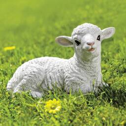 Coopers of Stortford Lottie Lamb Garden Ornament In Weatherproof Polyresin in White - thumbnail 1