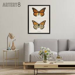 "Artery8 Monarch Butterfly Vintage Illustration Denton Framed Canvas Wall Art in White - Size: W12"" x H16""" - thumbnail 3