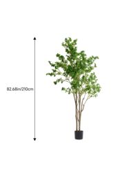 Living and Home 2.1m Artificial Fuchsia Tree Potted Plant Home Decor for Living Room, Hallway & Office in Green - thumbnail 6
