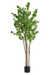 Living and Home 2.1m Artificial Fuchsia Tree Potted Plant Home Decor for Living Room, Hallway & Office in Green - thumbnail 1
