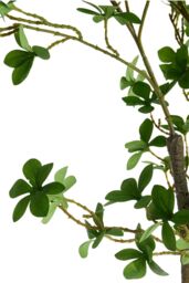 Living and Home 2.1m Artificial Fuchsia Tree Potted Plant Home Decor for Living Room, Hallway & Office in Green - thumbnail 3