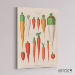 "Artery8 Carrots Vegetables Kitchen Ernst Benary Canvas Wall Art Print in White - Size: W12"" x H16""" - thumbnail 2