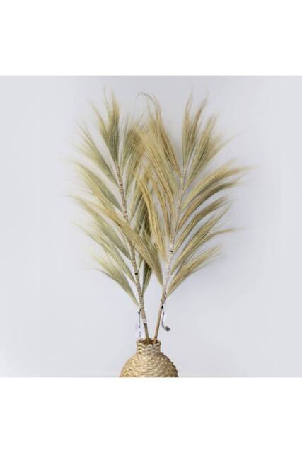 KDMD Rayung Grass Pampas Display - 1.6m, Colorful Dried Tropical Decor in Natural - image 1