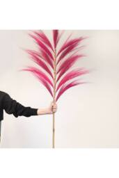 KDMD Rayung Grass Pampas Display - 1.6m, Colorful Dried Tropical Decor in Natural - thumbnail 5