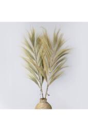 KDMD Rayung Grass Pampas Display - 1.6m, Colorful Dried Tropical Decor in Natural - thumbnail 1