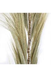 KDMD Rayung Grass Pampas Display - 1.6m, Colorful Dried Tropical Decor in Natural - thumbnail 3