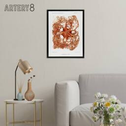 "Artery8 Deep Sea Basket Star Illustration Albert I Framed Canvas Wall Art in White - Size: W12"" x H16""" - thumbnail 3