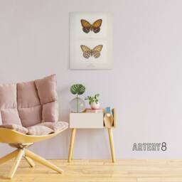 "Artery8 Regal Fritillary Butterfly Sherman Denton Canvas Wall Art Print in White - Size: W12"" x H16""" - thumbnail 3