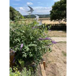 Poppyforge Flying Swallows Cluster Garden Art - Steel - W6 x H100 cm in Silver - thumbnail 3