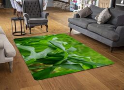 Benjamin Tate Design Green Leaves Corn Fields As Background Designer Rug in Natural - Size: Large - thumbnail 2