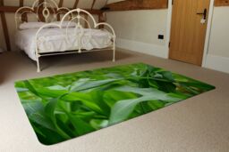 Benjamin Tate Design Green Leaves Corn Fields As Background Designer Rug in Natural - Size: Large - thumbnail 3