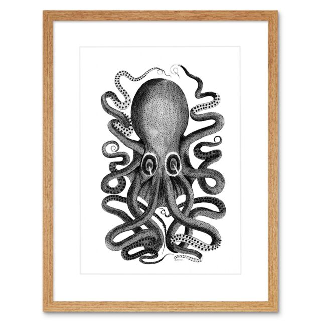 "Artery8 Wall Art Print Octopus Vintage Art Framed 9x7 inch in Beige - Size: W7"" x H9""" - image 1