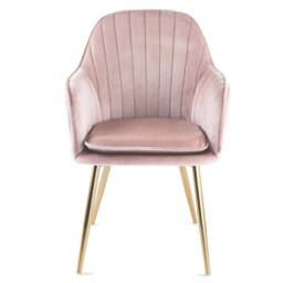 Genesis Muse Velvet Accent Chairs Pair Upholstered Modern Chairs with Backrest in Light Pink - Size: 2 Pack - thumbnail 4