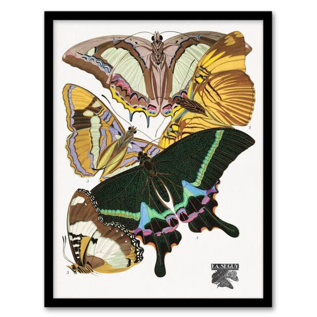 Artery8 Bright Vintage Butterflies Papillons Framed Wall Art Print Eugene Seguy - Size: A4 - image 1