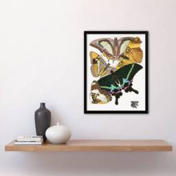 Artery8 Bright Vintage Butterflies Papillons Framed Wall Art Print Eugene Seguy - Size: A4 - thumbnail 4