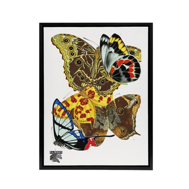 "Artery8 Papillons Bright Vintage Butterflies Framed Canvas Wall Art Print Seguy - Size: W12"" x H16""" - image 1