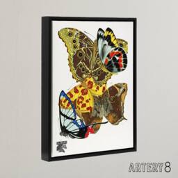 "Artery8 Papillons Bright Vintage Butterflies Framed Canvas Wall Art Print Seguy - Size: W12"" x H16""" - thumbnail 2