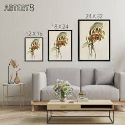 "Artery8 F Sander Cattleya Granulosa Var Schofieldiana Orchid Framed Canvas Art in White - Size: W12"" x H16""" - thumbnail 4