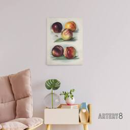 "Artery8 Vintage Fruit Illustration Peach Varieties Wright Canvas Art Print in White - Size: W12"" x H16""" - thumbnail 3