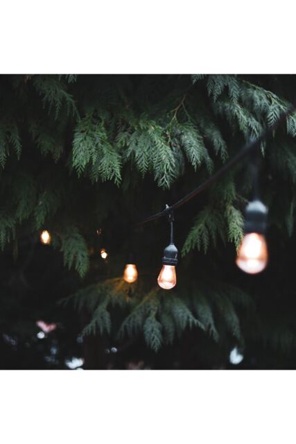 CGC Lighting 'Joy' Vintage Style Festoon Outdoor/Indoor String Lights in Black - image 1