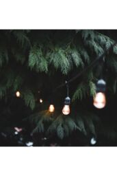 CGC Lighting 'Joy' Vintage Style Festoon Outdoor/Indoor String Lights in Black - thumbnail 1