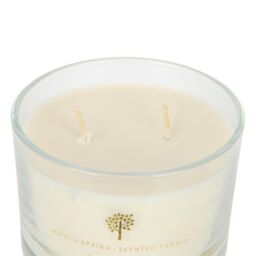 Nicola Spring 350g Lemongrass Soy Candles - Pack of 3 - Double Wick Jars in Clear - thumbnail 5