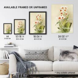 Artery8 Frederick Sander Madagascar Swamp Orchid Flowers Framed Wall Art Print - Size: A4 - thumbnail 3