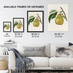 "Artery8 Illustration of a Pear Jacob Sturm Vintage Framed Wall Art Print in White - Size: W12"" x H16""" - thumbnail 3