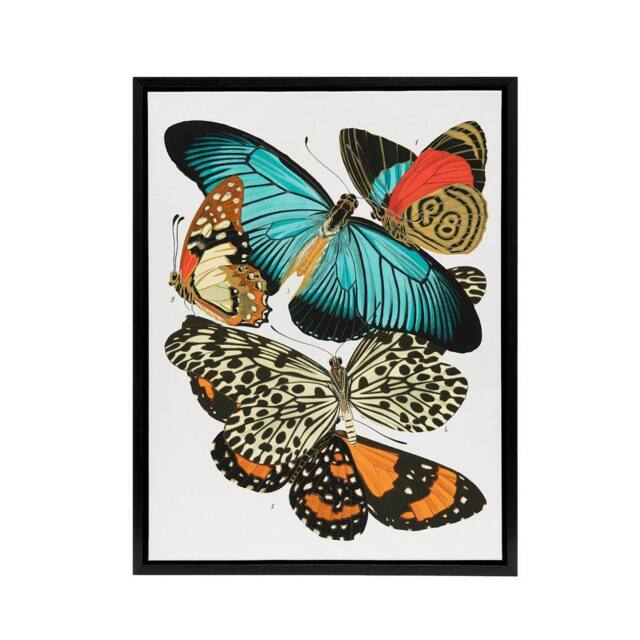 "Artery8 Vintage Butterflies Blue & Orange Framed Canvas Wall Art Print Seguy - Size: W12"" x H16""" - image 1