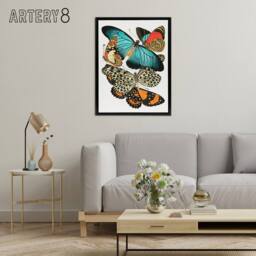 "Artery8 Vintage Butterflies Blue & Orange Framed Canvas Wall Art Print Seguy - Size: W12"" x H16""" - thumbnail 3