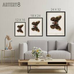 "Artery8 Cecropia Moth Vintage Illustration Denton Framed Canvas Wall Art Print in White - Size: W12"" x H16""" - thumbnail 4