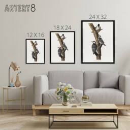 "Artery8 Red Cockaded Woodpecker Audubon Nature Black Framed Canvas Wall Art in White - Size: W24"" x H32""" - thumbnail 4