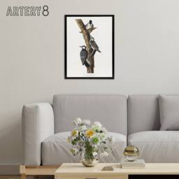 "Artery8 Red Cockaded Woodpecker Audubon Nature Black Framed Canvas Wall Art in White - Size: W24"" x H32""" - thumbnail 3