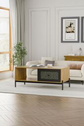Rattan Living Room Coffee Table with Storage in Brown