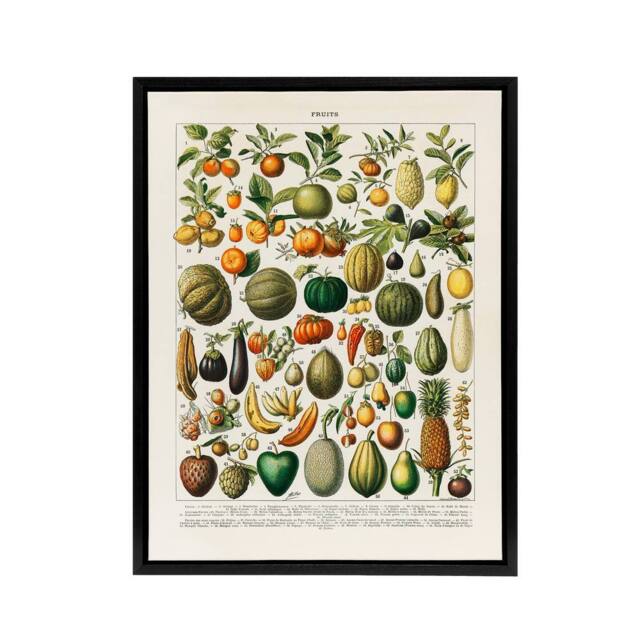 "Artery8 Fruits & Vegetables French Encyclopedia Framed Canvas Wall Art in Beige - Size: W12"" x H16""" - image 1