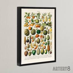 "Artery8 Fruits & Vegetables French Encyclopedia Framed Canvas Wall Art in Beige - Size: W12"" x H16""" - thumbnail 2